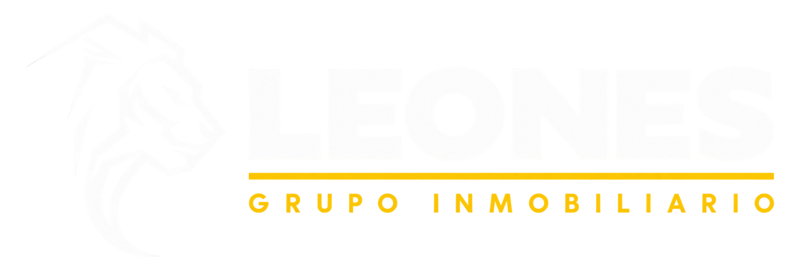 Leones Grupo Inmobiliario